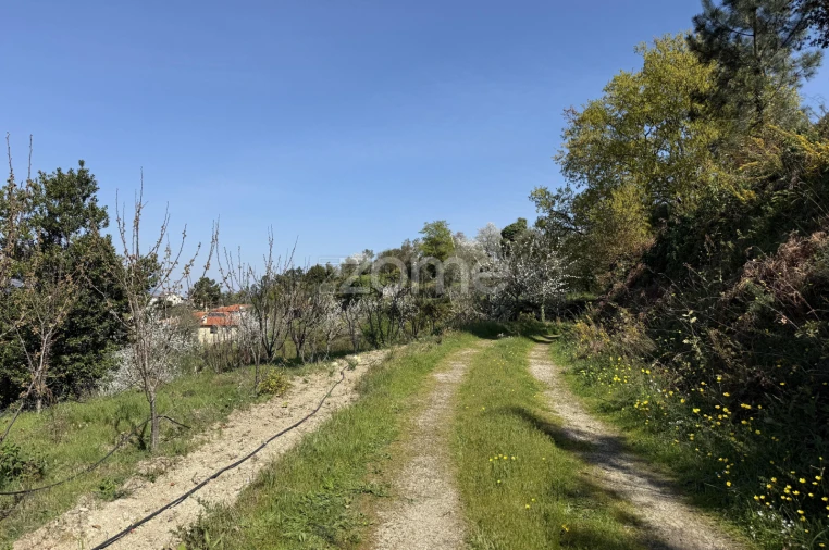 Terreno para Venda em Anreade e São Romão de Aregos Foto 2
