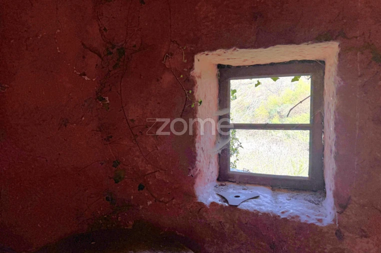 Terreno para Venda em Anreade e São Romão de Aregos Foto 24