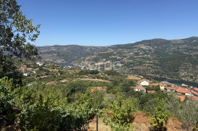 Terreno para Venda em Anreade e São Romão de Aregos Foto 5