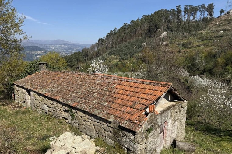 Terreno para Venda em Anreade e São Romão de Aregos Foto 25