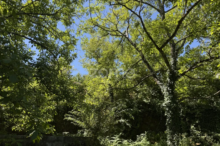 Terreno para Venda em Anreade e São Romão de Aregos Foto 34