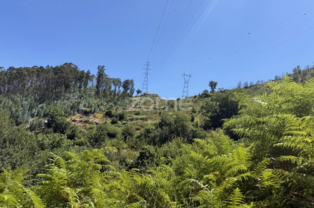 Terreno para Venda em Anreade e São Romão de Aregos Foto 35