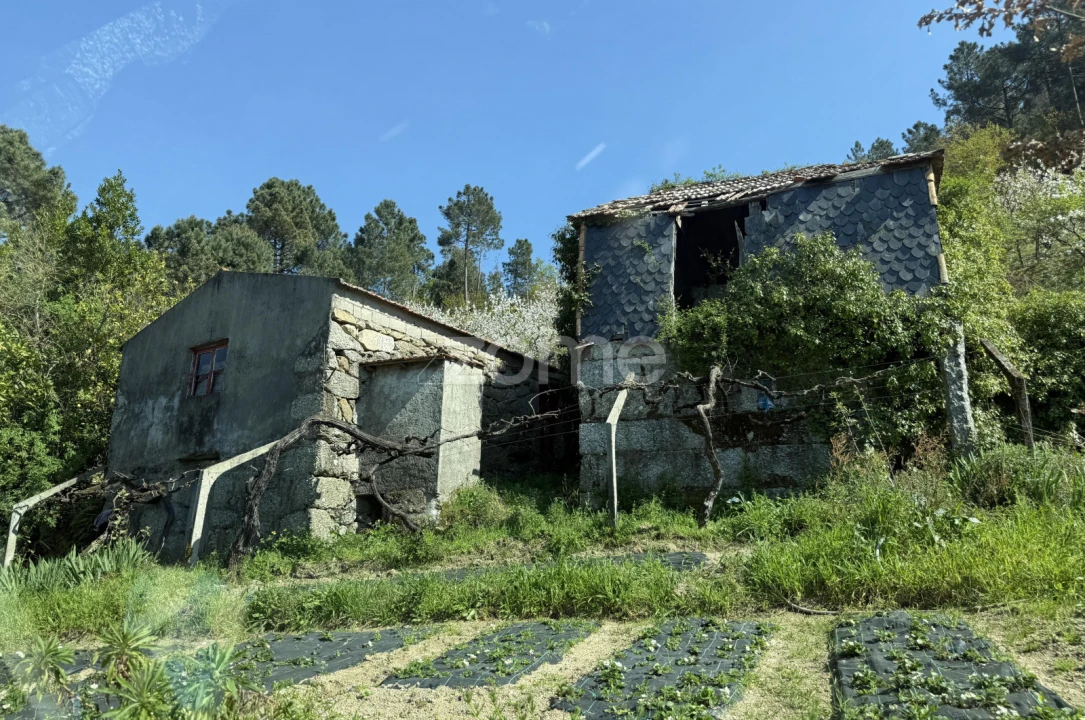 Moradia T3 para Venda em Anreade e São Romão de Aregos Foto 15