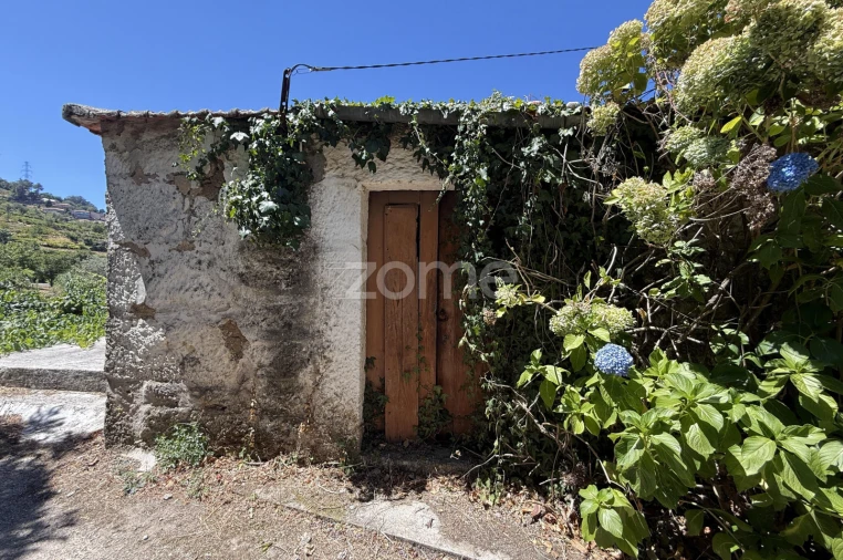 Moradia T3 para Venda em Anreade e São Romão de Aregos Foto 3