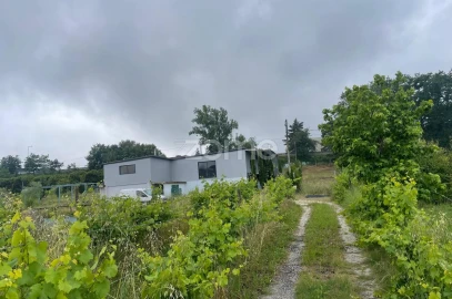 Terreno para Venda em Oliveira, São Paio e São Sebastião