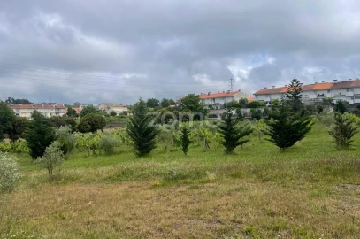Terreno para Venda em Oliveira, São Paio e São Sebastião