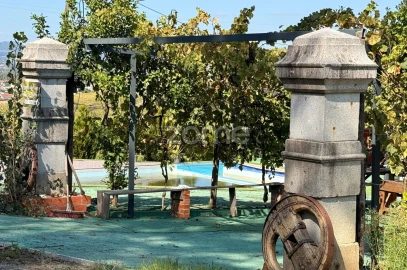 Terreno para Venda em Oliveira, São Paio e São Sebastião