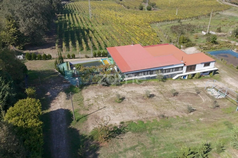 Terreno para Venda em Oliveira, São Paio e São Sebastião Foto 4
