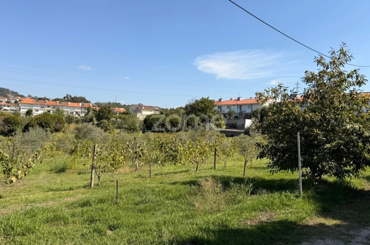 Terreno para Venda em Oliveira, São Paio e São Sebastião Foto 9