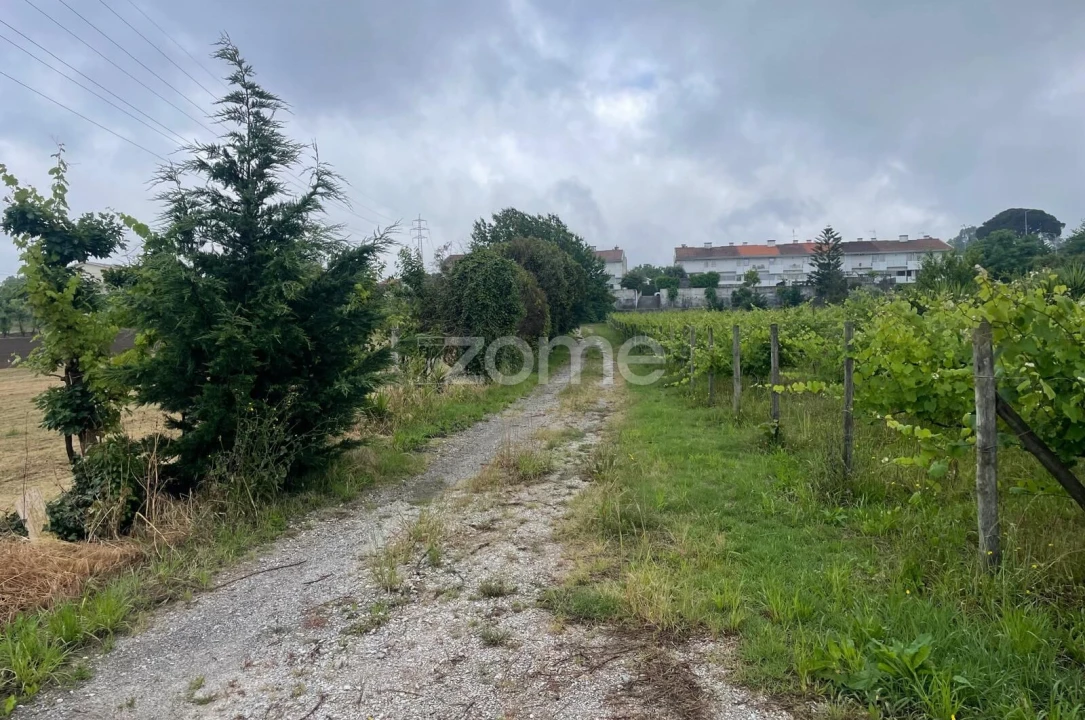 Terreno para Venda em Oliveira, São Paio e São Sebastião Foto 11