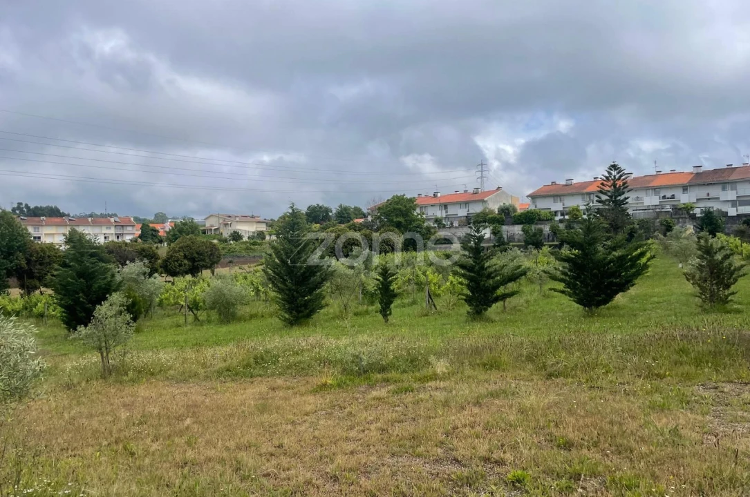 Terreno para Venda em Oliveira, São Paio e São Sebastião Foto 12