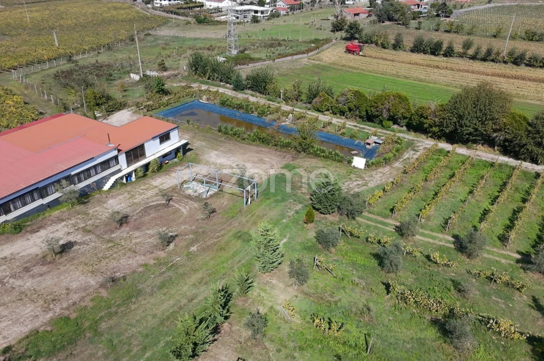 Terreno para Venda em Oliveira, São Paio e São Sebastião Foto 5