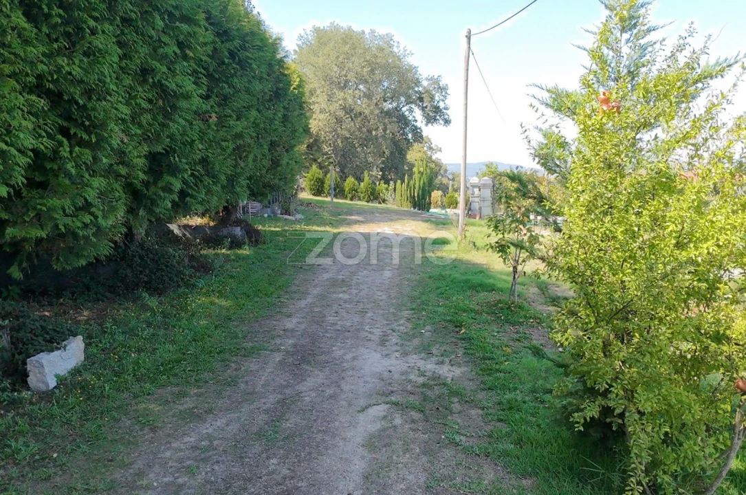 Terreno para Venda em Oliveira, São Paio e São Sebastião Foto 2