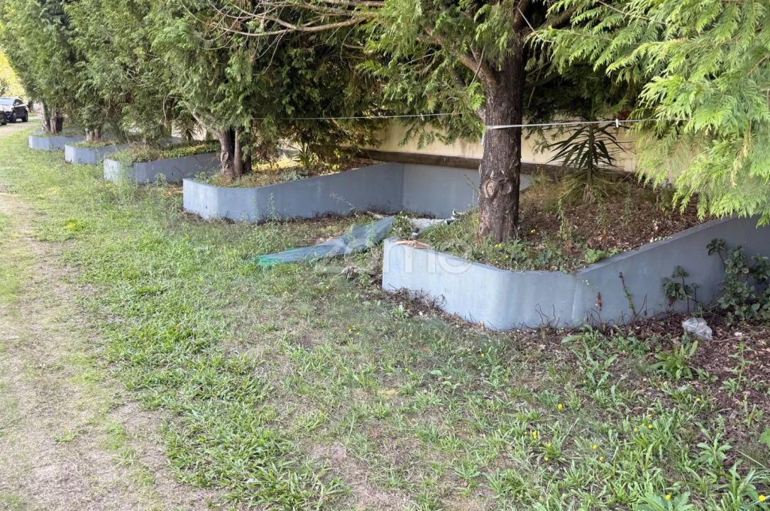 Terreno para Venda em Oliveira, São Paio e São Sebastião Foto 3