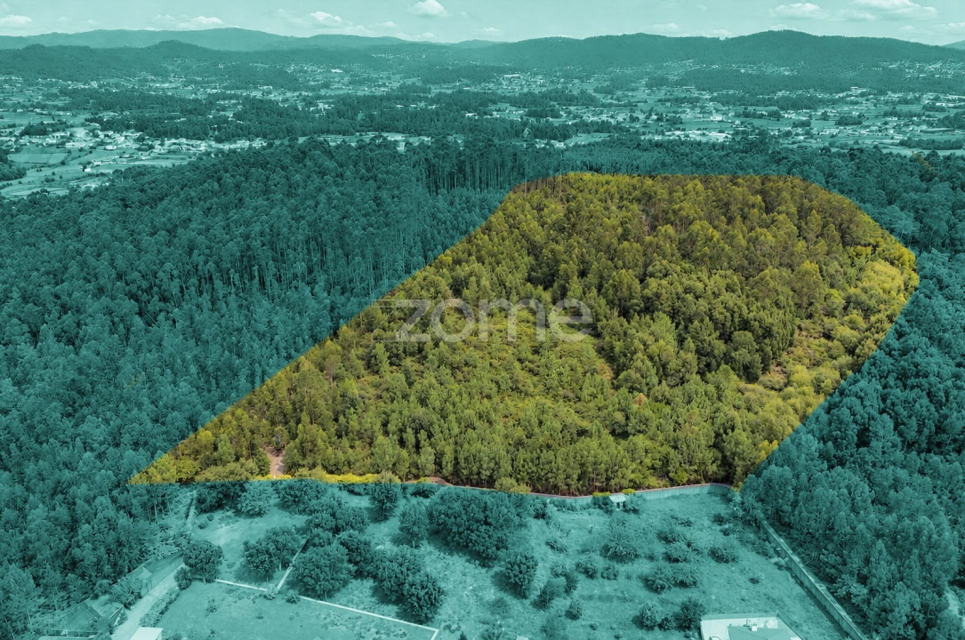 Terreno para Venda em Tamel (Santa Leocádia) e Vilar do Monte Foto 1