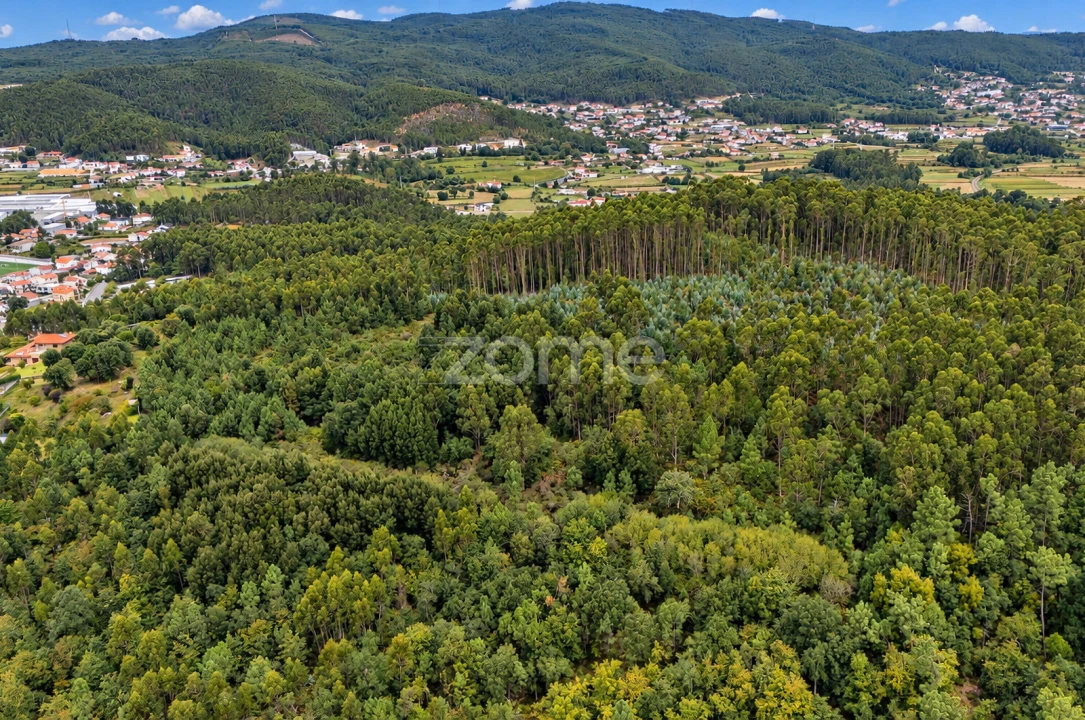 Terreno para Venda em Tamel (Santa Leocádia) e Vilar do Monte Foto 7