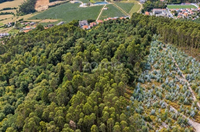 Terreno para Venda em Tamel (Santa Leocádia) e Vilar do Monte