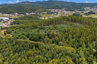 Terreno para Venda em Tamel (Santa Leocádia) e Vilar do Monte