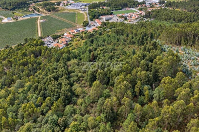 Terreno para Venda em Tamel (Santa Leocádia) e Vilar do Monte