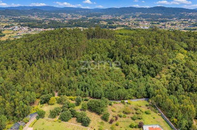 Terreno para Venda em Tamel (Santa Leocádia) e Vilar do Monte