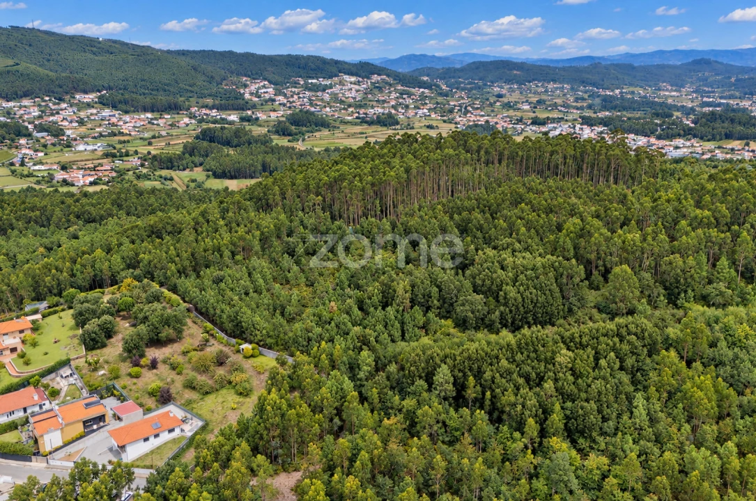 Terreno para Venda em Tamel (Santa Leocádia) e Vilar do Monte Foto 5