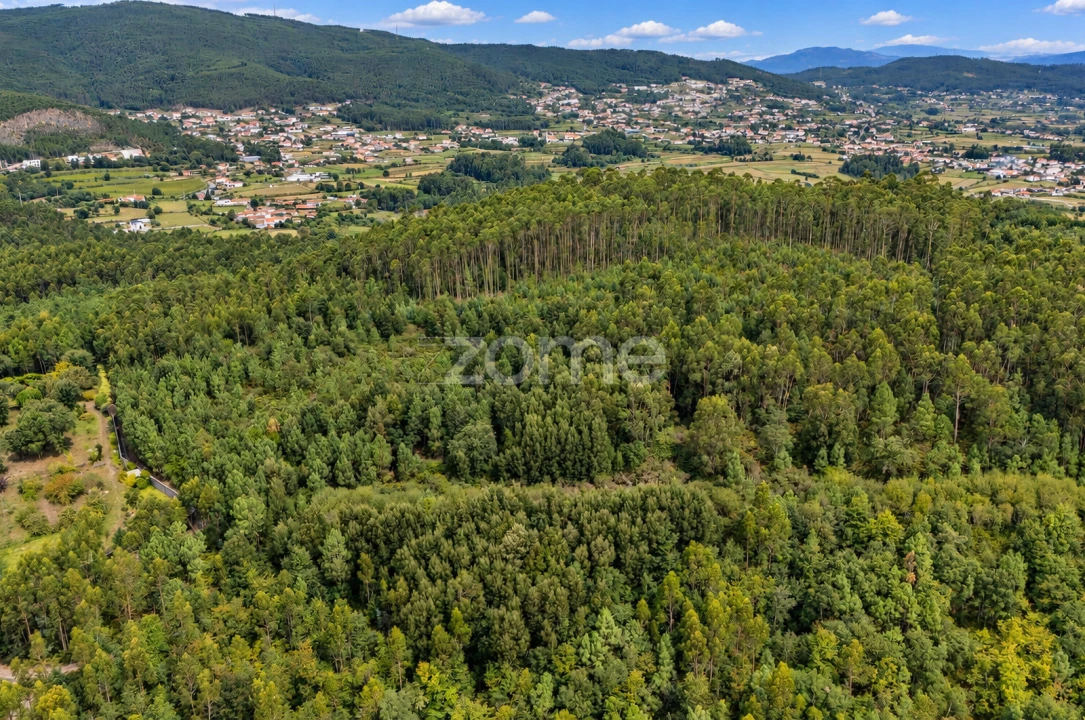 Terreno para Venda em Tamel (Santa Leocádia) e Vilar do Monte Foto 6