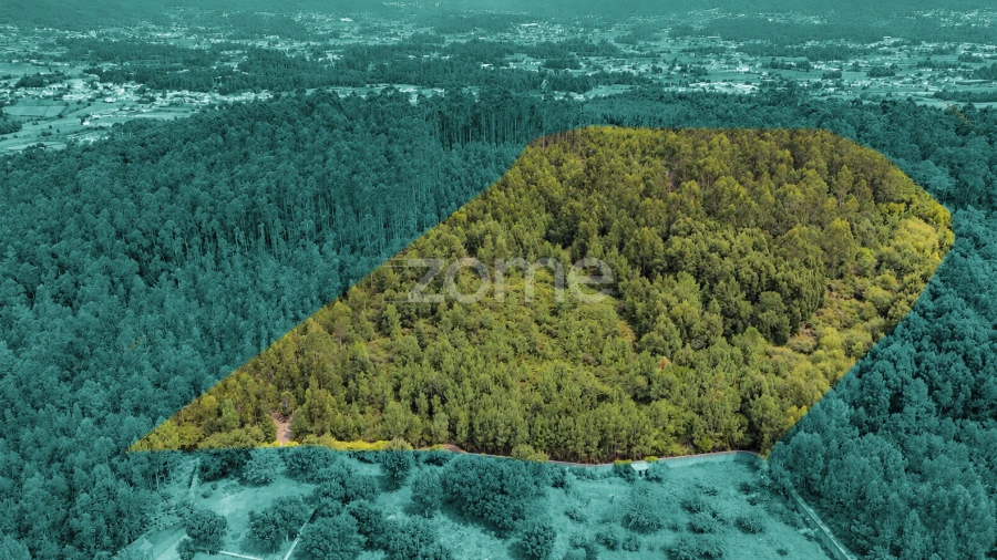 Terreno para Venda em Tamel (Santa Leocádia) e Vilar do Monte
