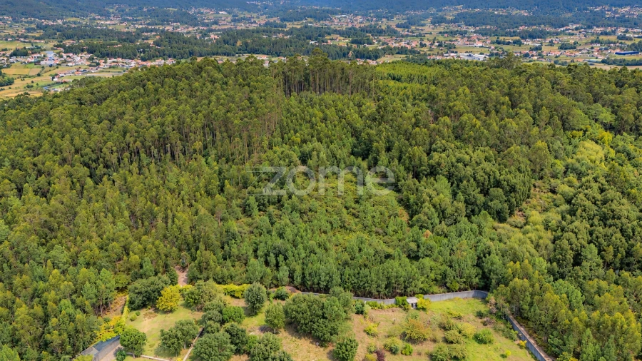 Terreno para Venda em Tamel (Santa Leocádia) e Vilar do Monte