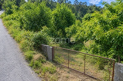 Terreno para Venda em Sande, Vilarinho, Barros e Gomide