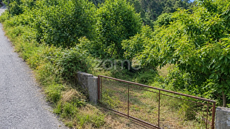 Terreno para Venda em Sande, Vilarinho, Barros e Gomide