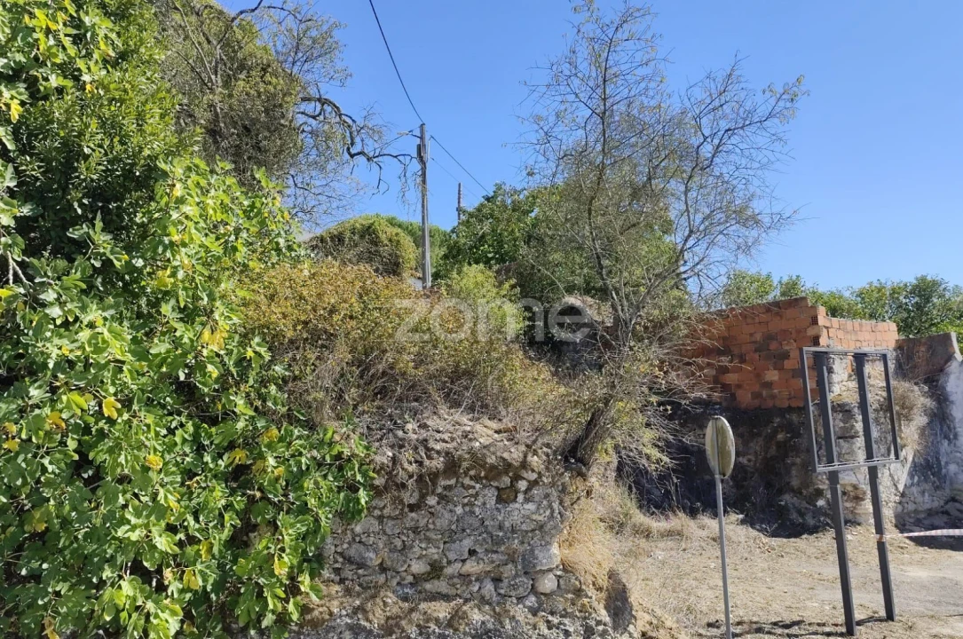 Terreno para Venda em Rio Maior Foto 10