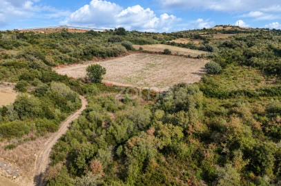 Terreno para Venda em Arranho