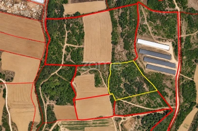 Terreno para Venda em Arranho