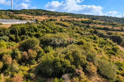 Terreno para Venda em Arranho