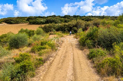 Terreno para Venda em Arranho