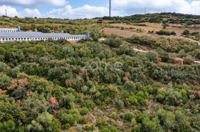 Terreno para Venda em Arranho