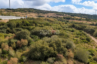 Terreno para Venda em Arranho