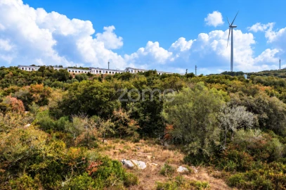 Terreno para Venda em Arranho