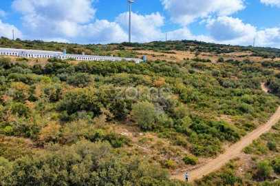 Terreno para Venda em Arranho