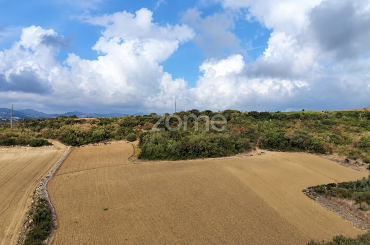 Terreno para Venda em Arranho Foto 14