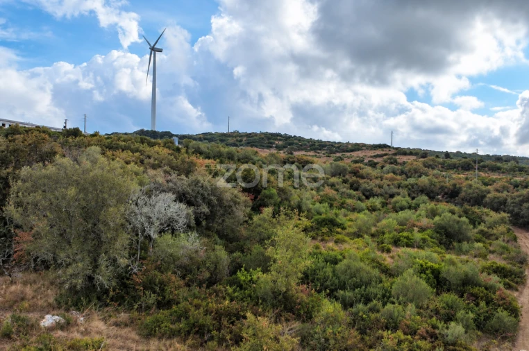 Terreno para Venda em Arranho Foto 13