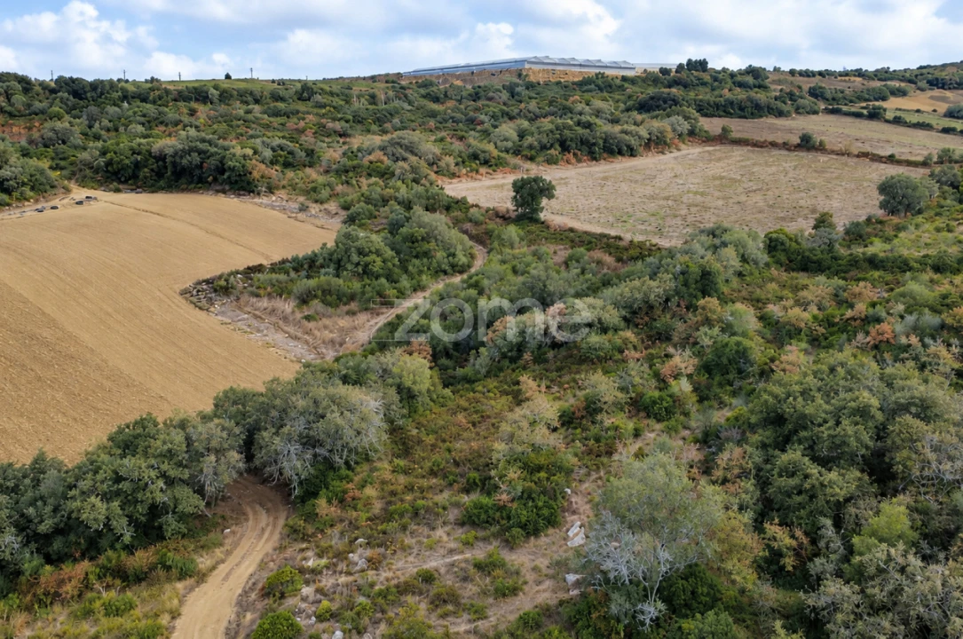 Terreno para Venda em Arranho Foto 10
