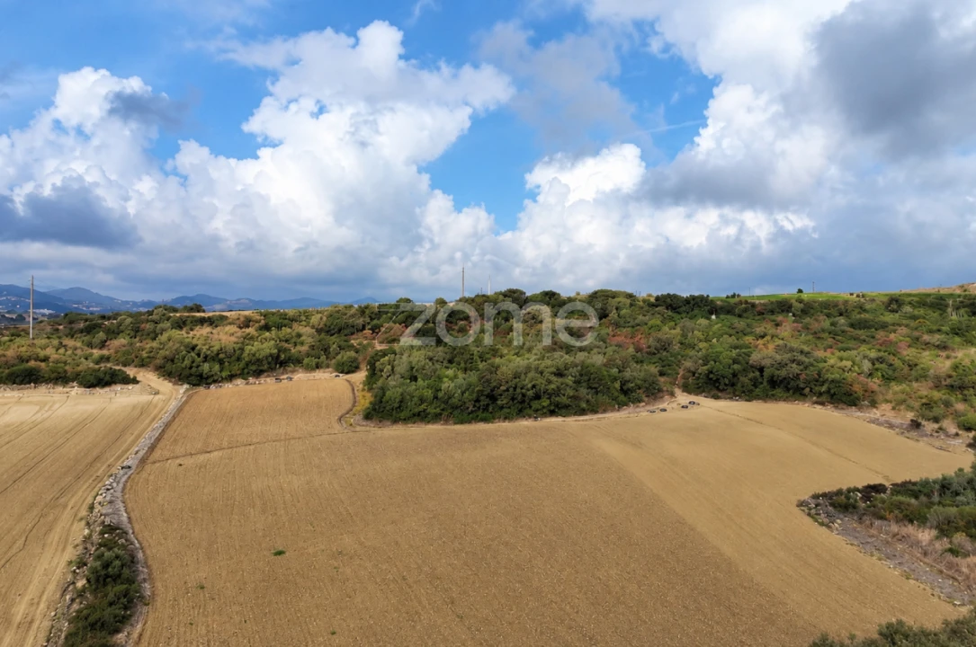 Terreno para Venda em Arranho Foto 14