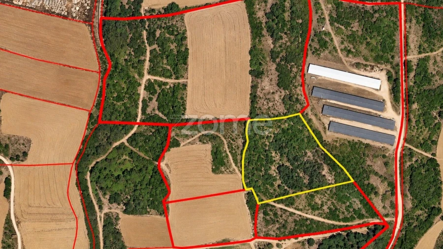 Terreno para Venda em Arranho