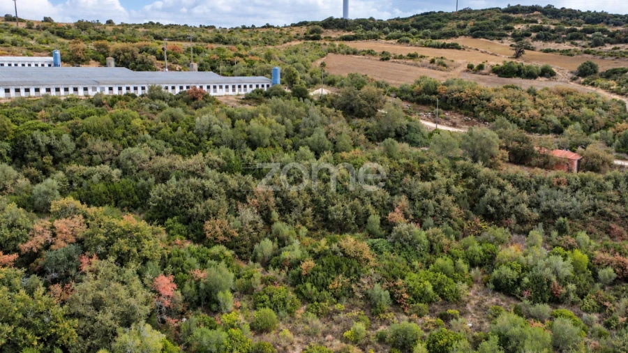 Terreno para Venda em Arranho