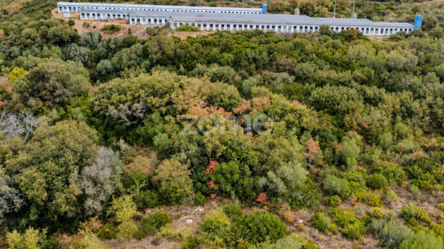 Terreno para Venda em Arranho