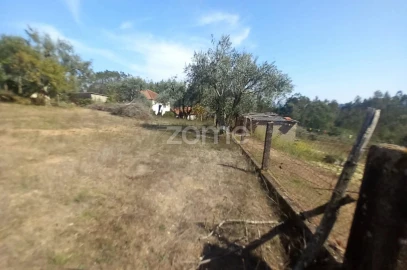 Moradia T5 para Venda em Carvalho