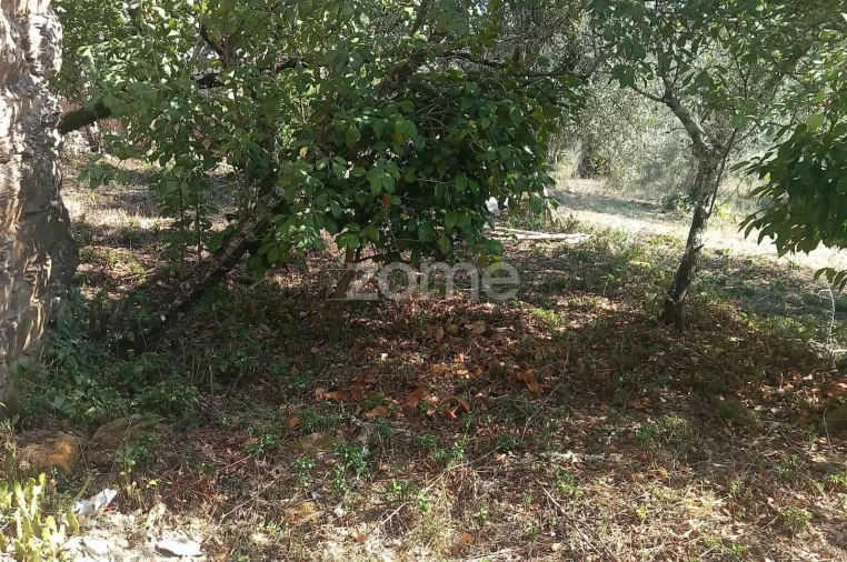Moradia T5 para Venda em Carvalho Foto 27
