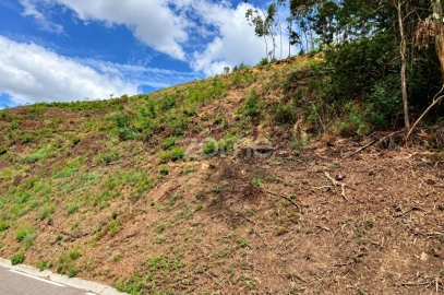 Terreno para Venda em Torres do Mondego