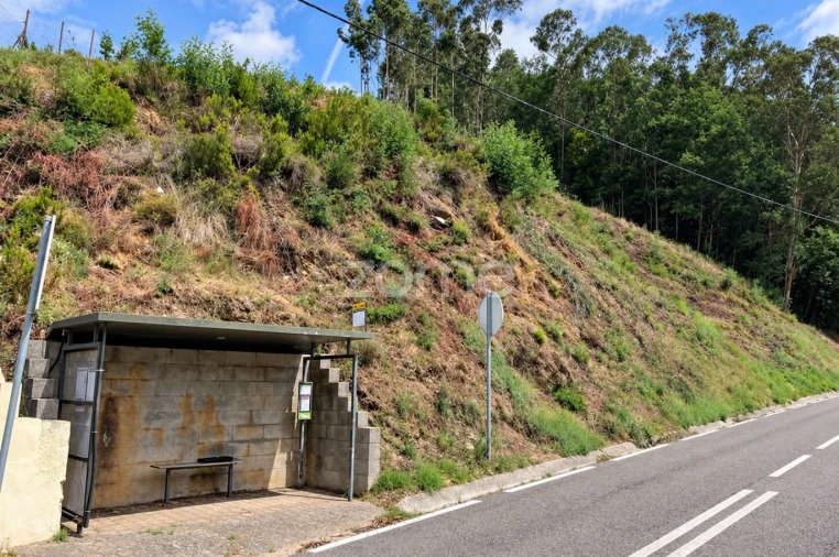 Terreno para Venda em Torres do Mondego Foto 10